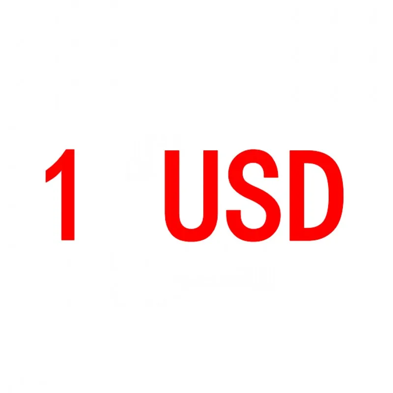

1 USD payment link