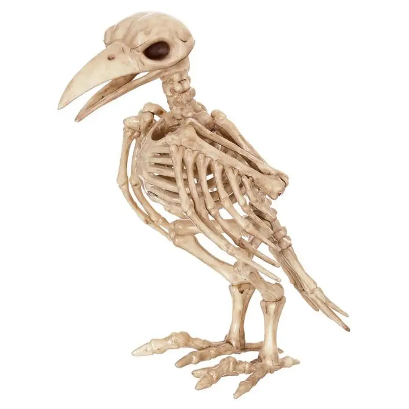 

Halloween Crazy Raven Bone Skeleton Plastic Animal Skeleton Bones Horror Halloween Decoration Props Diy Party Decor Supplies