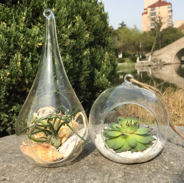 Aliexpress.com : Buy 2pcs/set 10cm Globe Terrarium And Teardrop 2pcs/set 10cm Globe terrarium and teardrop planter pot,moss succulent indoor plant for - Aliexpress.com : Buy 2pcs/set 10cm Globe Terrarium And Teardrop