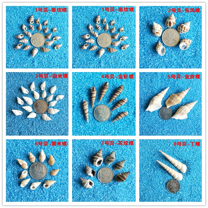 

22 Style Natural Shells For DIY Shell Mosaic Painting Kids Puzzle Craft Making Material Package Kindergarten Handmade Education