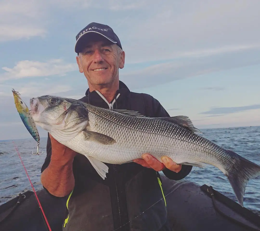 

Hunthouse floating Pencil lure 110 90 topwater pencil trolling stickbait fishing Wobblers surface Pesca leurre