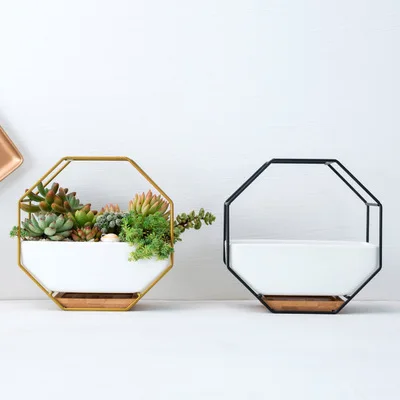 Скандинавские минималистичные декоративные рамки геометрические настенные подвесные мясистые керамические горшки