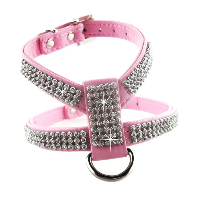 teacup dog collar