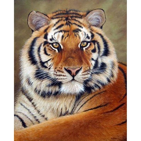 Needlework-diy-5d-diamond-painting-cross-stitch-tiger-rhinestone-pasted-painting-diamond-embroidery-home-decor-wall.jpg_640x640
