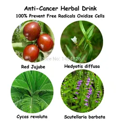 Анти-рак медицина травы формула, предотвратить рак травяной напиток