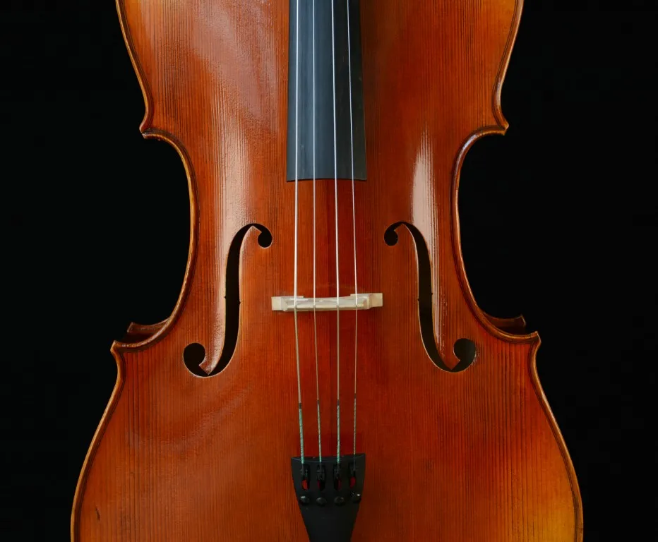 Master Wang's best Cello so far in ACTUAL CELLO