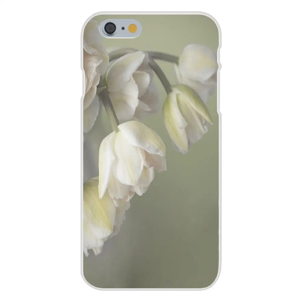 20130312194615_Vzakx.thumb.700_0