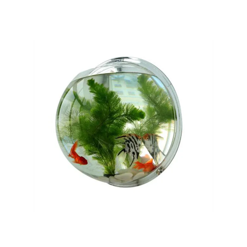 WallMounted Acrylic Fish Bowl Aquarium for Aquatic Pets Perfect for