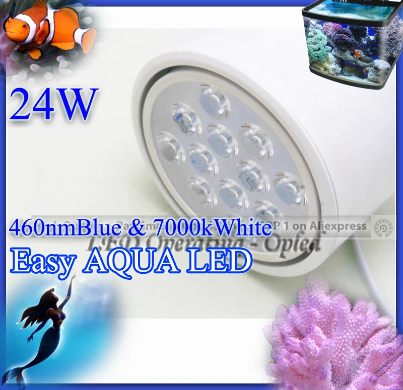 professional lighting Royal Blue 460nm led aquarium marine lamp Easy