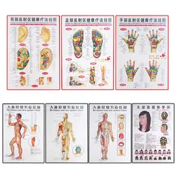 7 шт. китайские и английские плакаты на прижигание и прижигание на акупунктах и меридианах традиционной китайской медицины