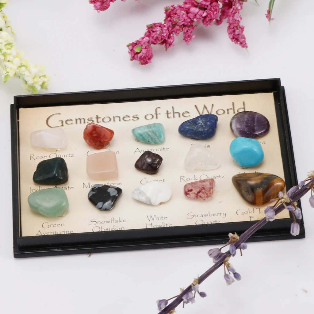 Rock & Mineral Collection Mixed Gemstone Crystals Natural Mineral Ore Specimens with Box, Earth Science Toy - Pack Of 15