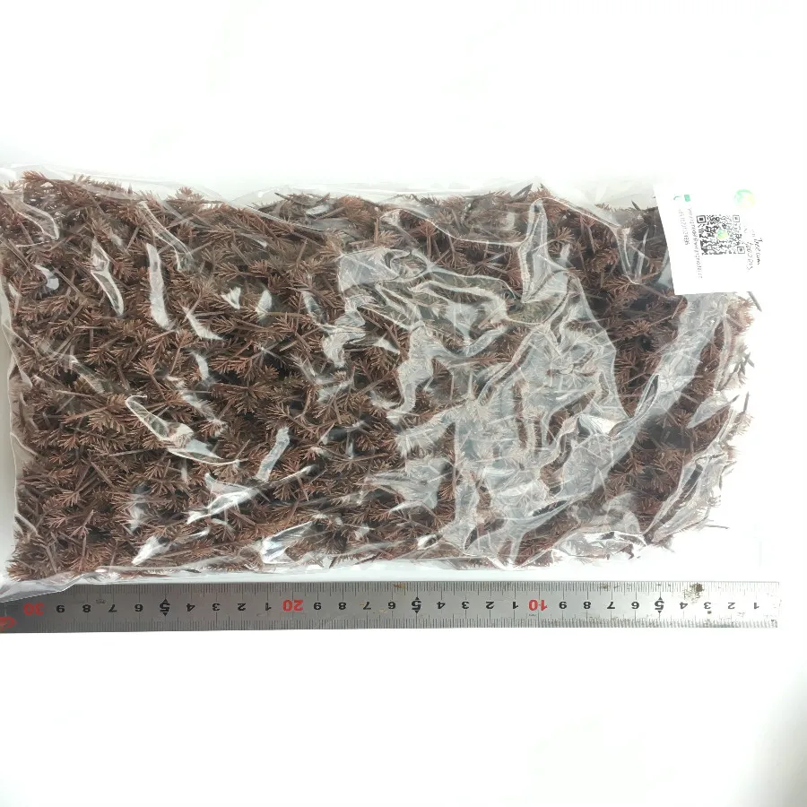 architecture model tree arm  (9)