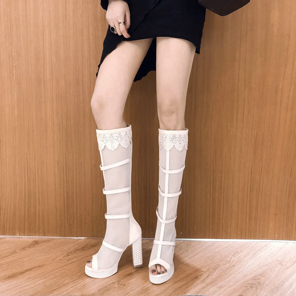20190217 -M559 (1)