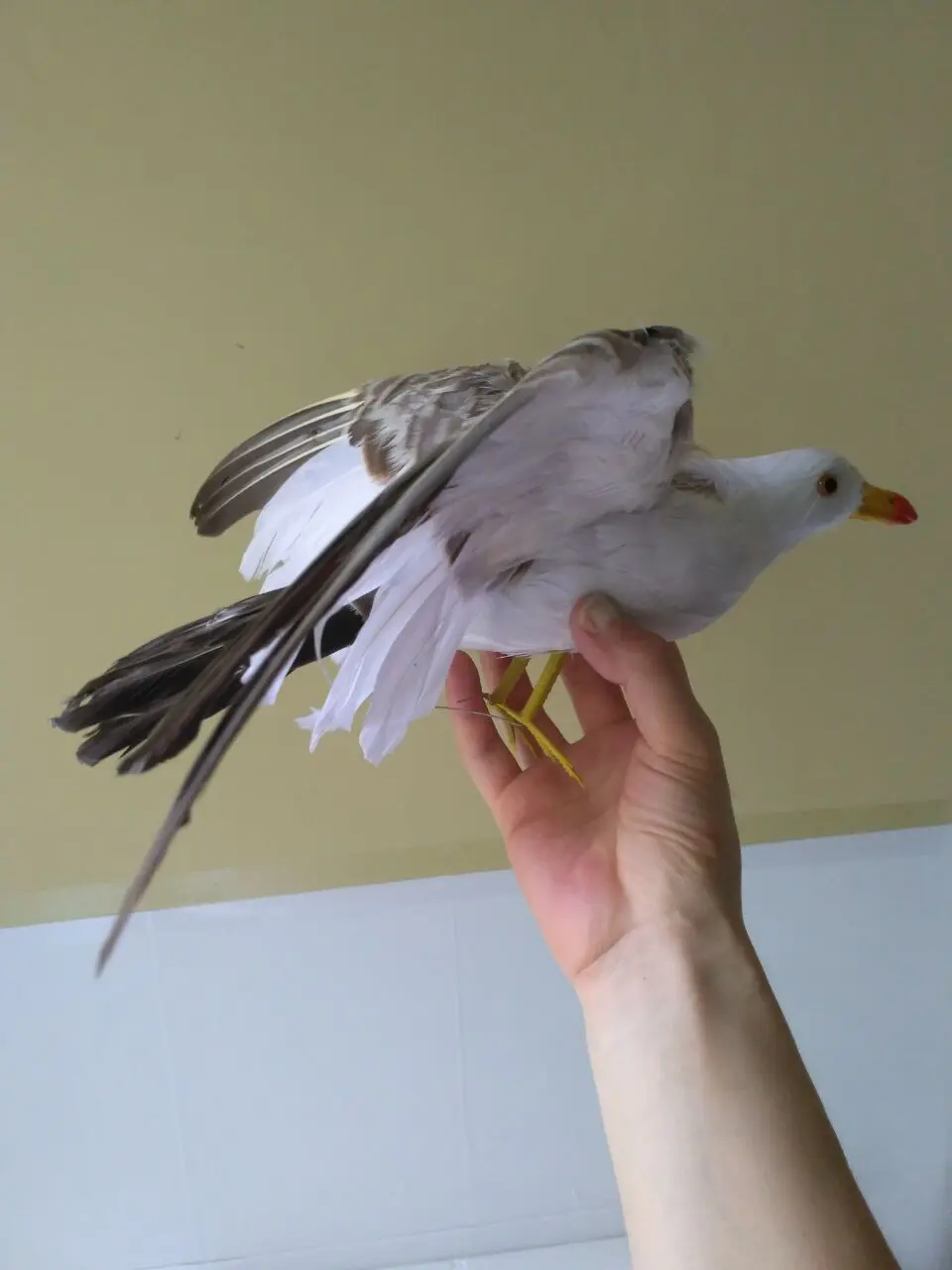 

simulation seagull spreading wings bird prop 30x50cm seagull model,foam&feathers bird handicraft,decoration,gift d1228