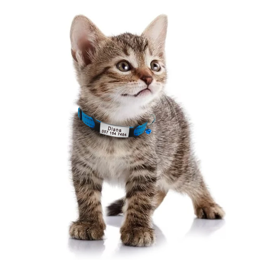 Buy Personalized Nylon Cat Collars Necklace With Name ID Tag Online