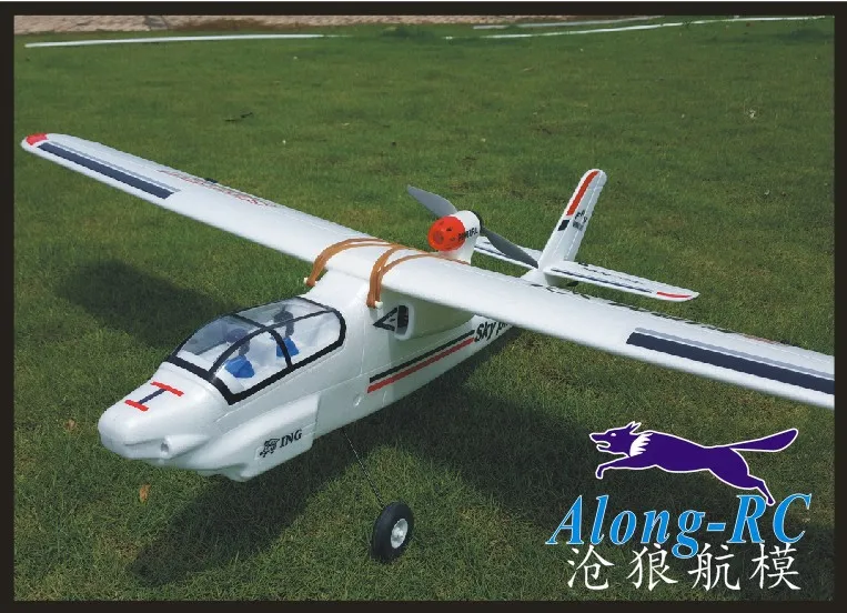 Tiansheng Sky pliot beginner самолет Unibody большой вес Перевозчик Модель ру аэроплана Fpv Самолет(есть комплект и PNP Набор