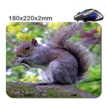 

Indian giant purple squirrel Print Rubber Soft Gaming Non-slip Durable Mouse Pad Mat 220*180*2mm Stylish office accessory&