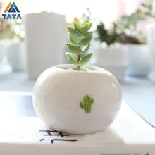 TARTADECO Free Shipping Kawaii Mini European Style Ceramic Flower Pot Vase Succulent Plants Circular Bonsai Planter TT-CFP-007