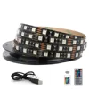 5050 RGB LED Bande Étanche DC 5 V USB LED Bandes de Lumière Flexible bande 50 CM 1 M 2 M 3 M 4 M 5 M Avec Télécommande Pour TV Fond ordinateur portable ► Photo 1/6