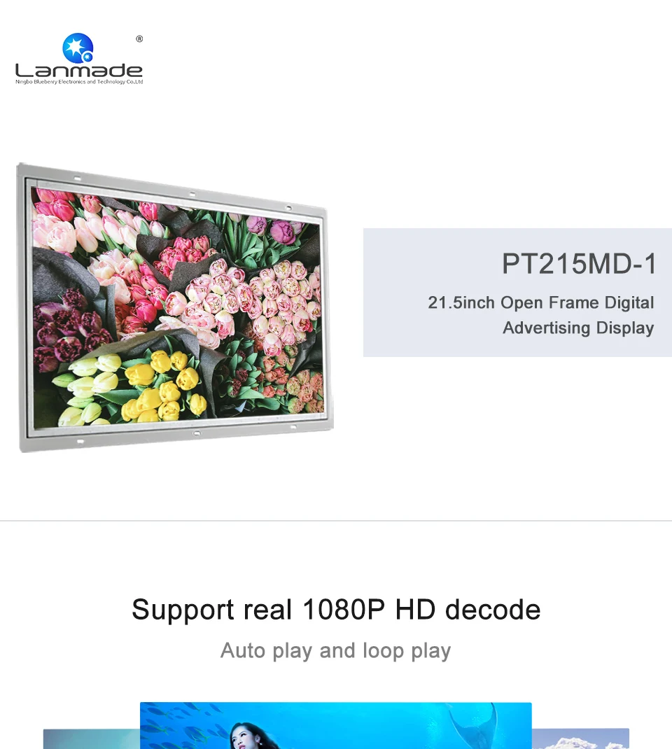 PT215MD-1_01