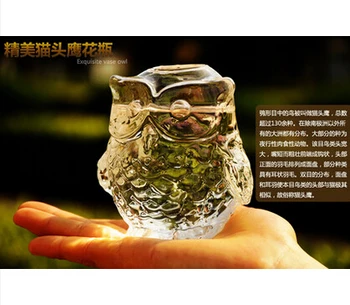 

European Creative Owl Crystal Glass Vase Tabletop Vase Implement Rural Household Decorative Arts and Crafts a Hydroponic Flower