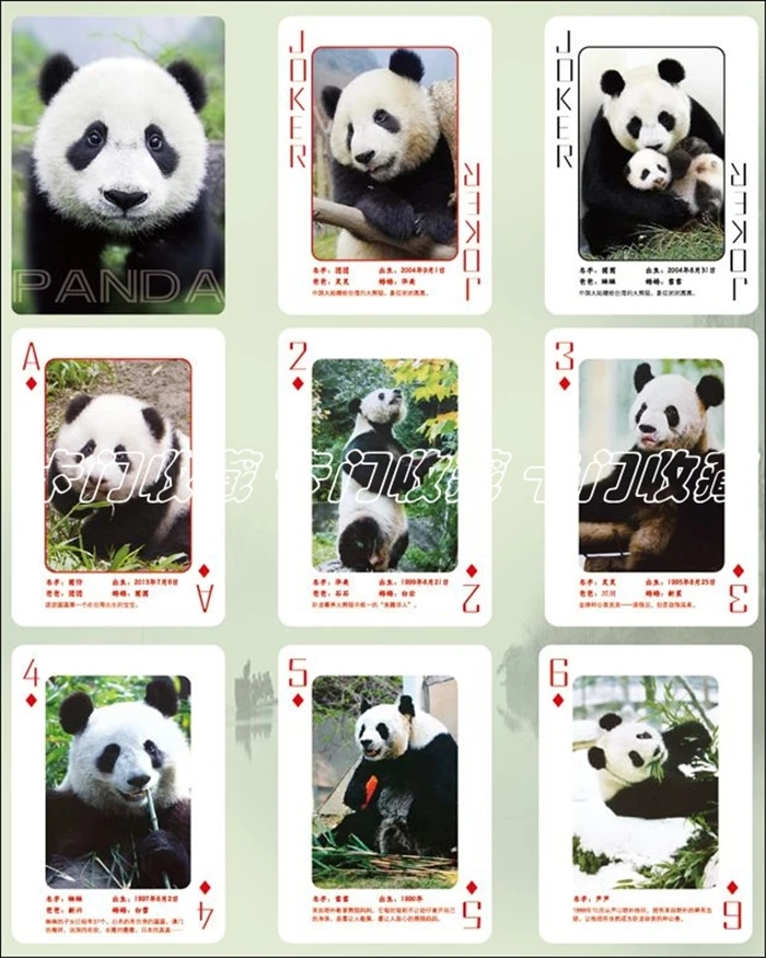 Бесплатная доставка 54 шт./компл. Набор Игральных Карт Panda коллекция Новинка