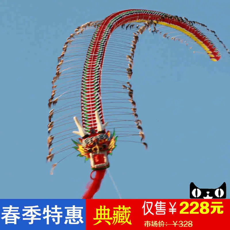 

3D single line cerf volant cheap outdoor bamboo quality kites huge weifang long chinese tradition rainbow craft dragon kite led