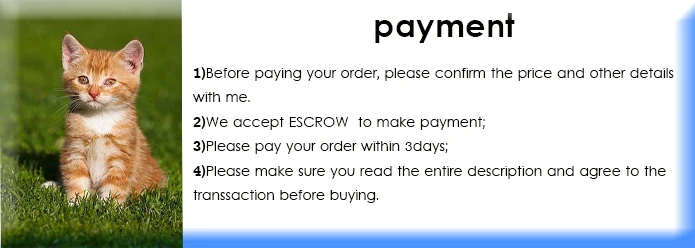 payment