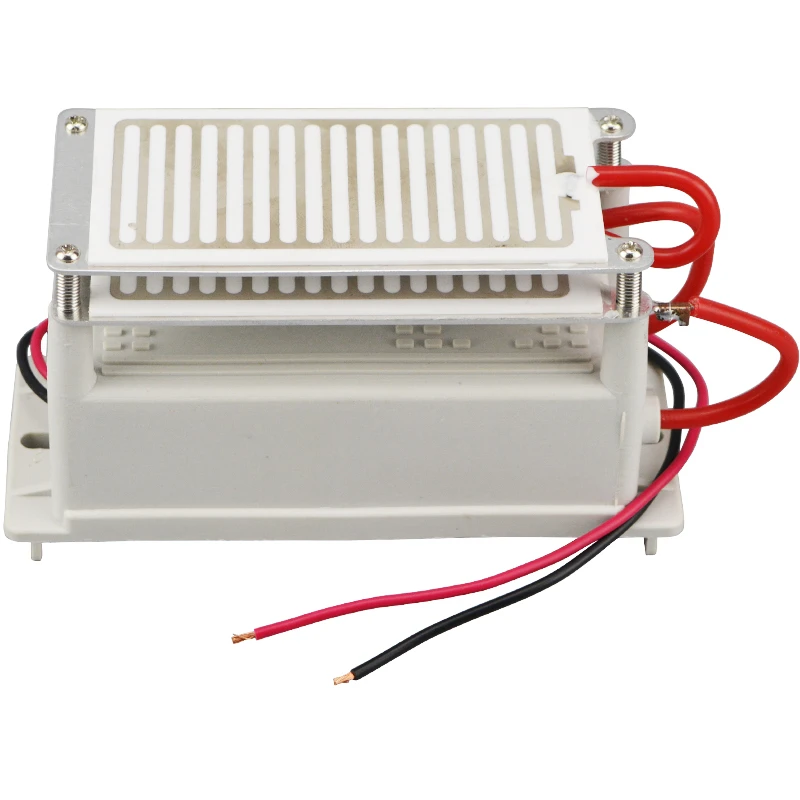 110V  10g