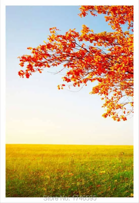 red tree-2
