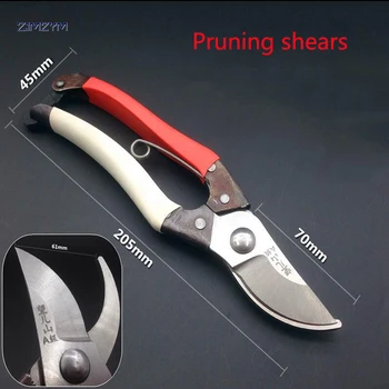 

High quality pruning scissors gardening scissors cut branches cut flowers and cut fruit for Garden Tools