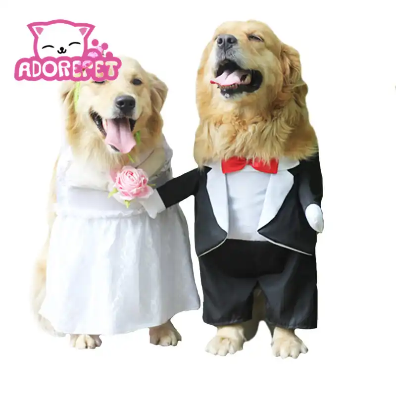 Perro Boda Esmoquin Vestido Velo Para Perro Grande Mediano Divertido Novia De Pie Traje De Novia Para Golden Retriever Bulldog Foto Props Aliexpress