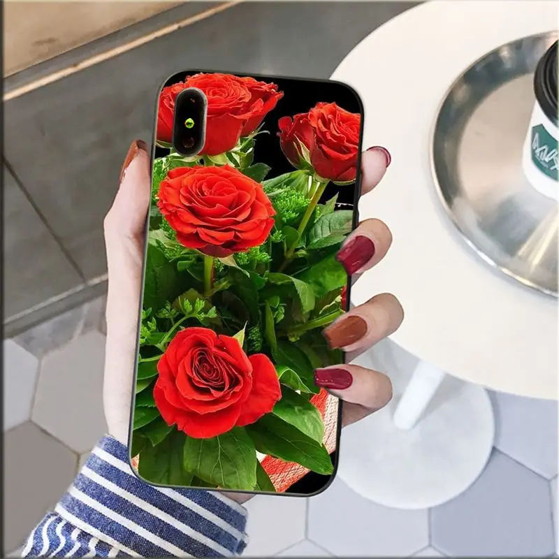 Red Pink Rose