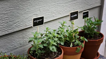 

5pcs Herb Garden Marker Stake Flower Bed of Flowers 18 to Choose From Dear Seed Organic Gardening Stakes Herb Markers DearSeed