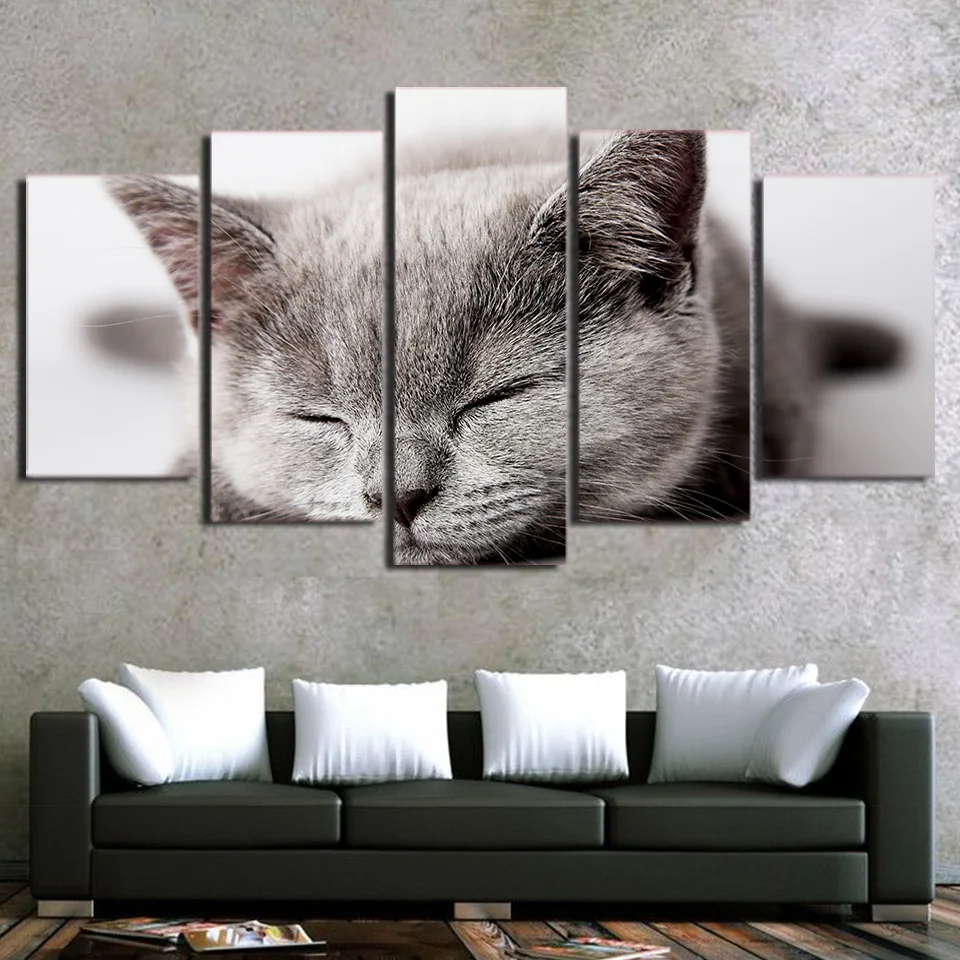 Cat Eyes Canvas Print Painting Framed Home Decor Wall Art Picture Poster Grey 