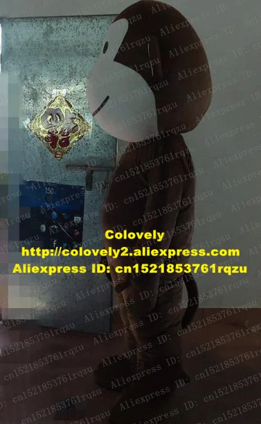 zz2662.2