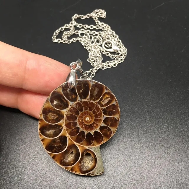 Cheap Natural Energy crystals Charm pendant color slice spiral chrysanthemum fossil snail fossils pendant Rock Specimen Brazil Cheap Natural Energy crystals Charm pendant color slice spiral chrysanthemum fossil snail fossils pendant Rock Specimen Brazil