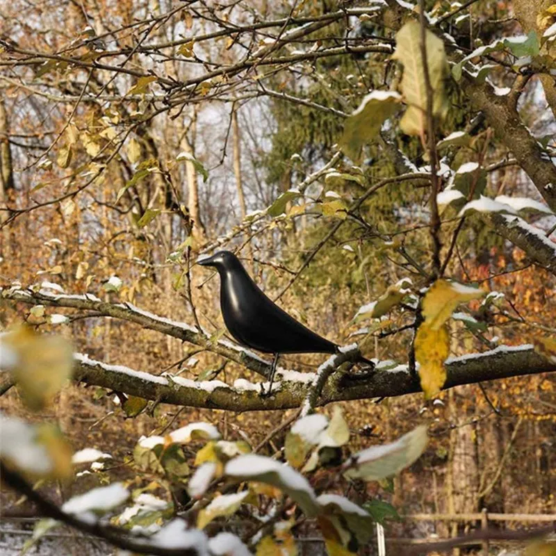 Bird statue 5