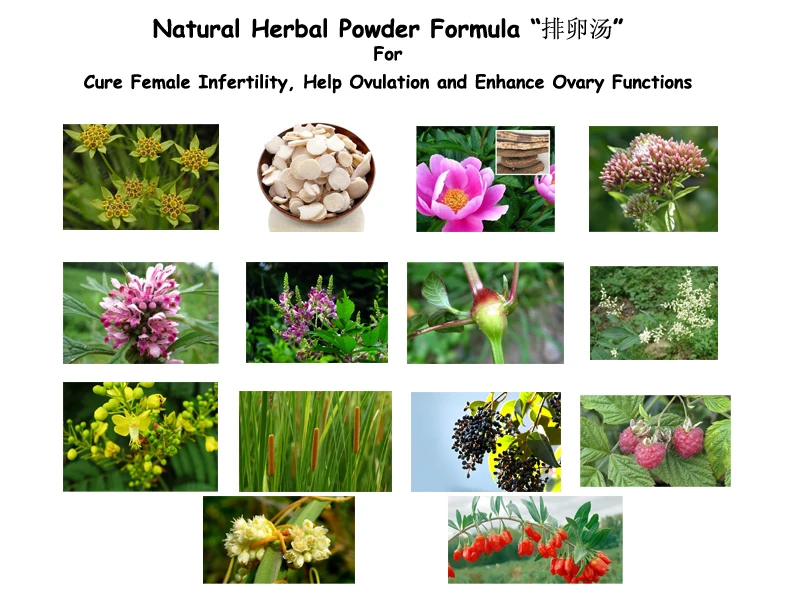 

Natural Herbal Powder Formula For Cure Female Infertility, Help Ovulation and Enhance Ovary Functions