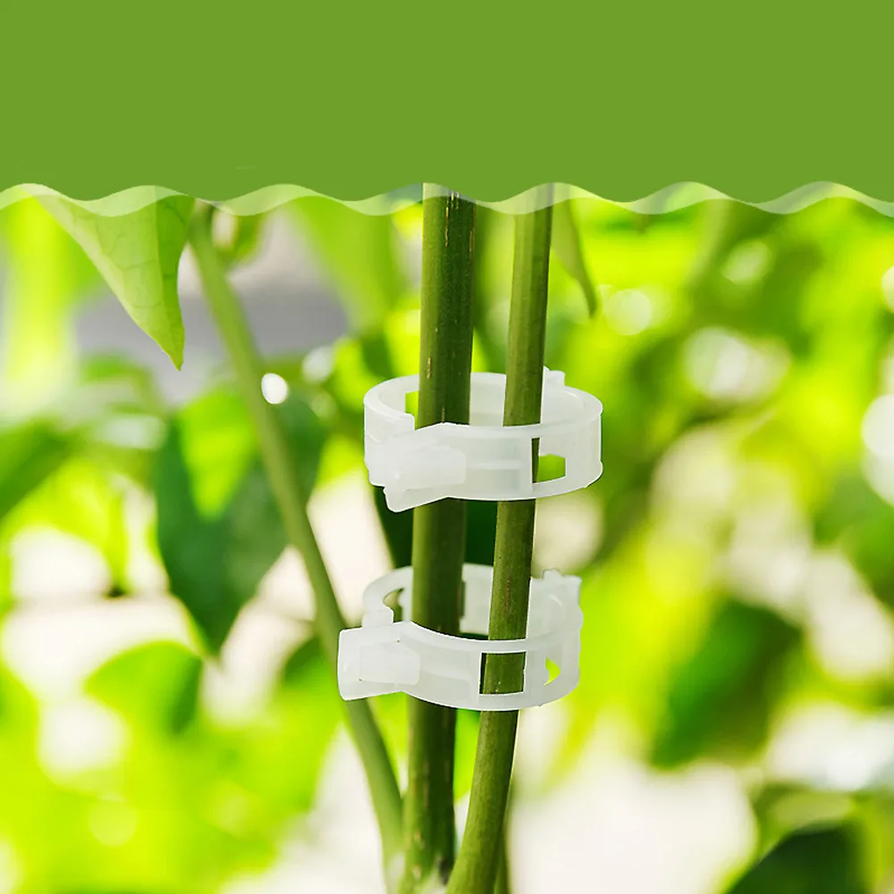 

150PC easy to fix polyester material closed oval shape tomato clip lattice garden flower vegetable binder twine plant suppt#4A04