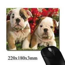 Buy English Bulldog Christmas And Get Free Shipping On Aliexpresscom