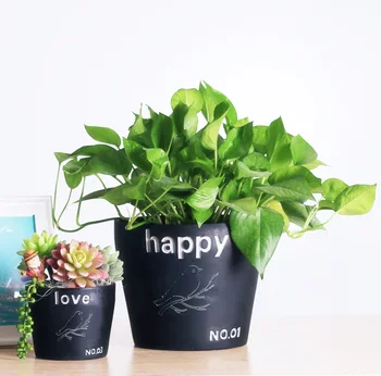 

Creative European simple mantra small pots succulents desktop office balcony vegetables personality Basin
