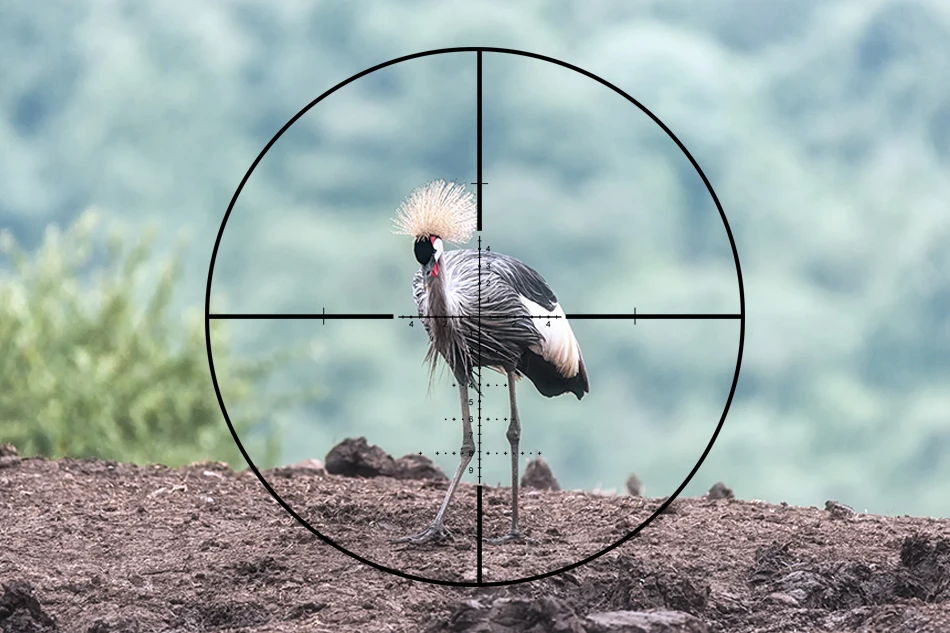 T-EAGLE-MR6-24X50SFFFP_07