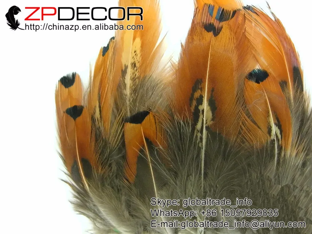 1 Pack - GOLD Ringneck Pheasant Plumage Loose Feathers