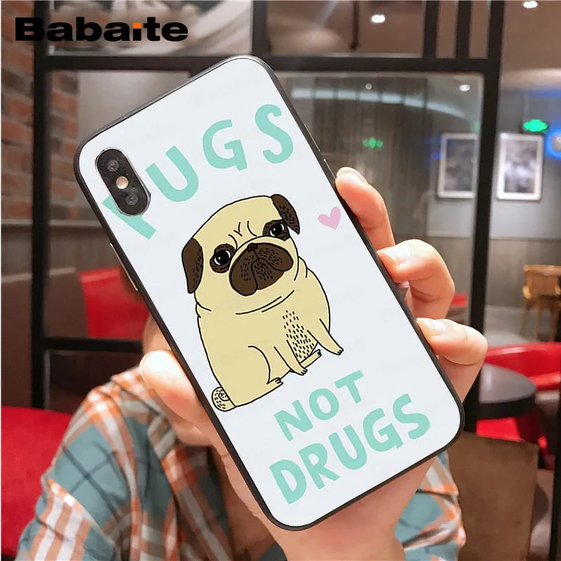Cute lovely pug dogs animals