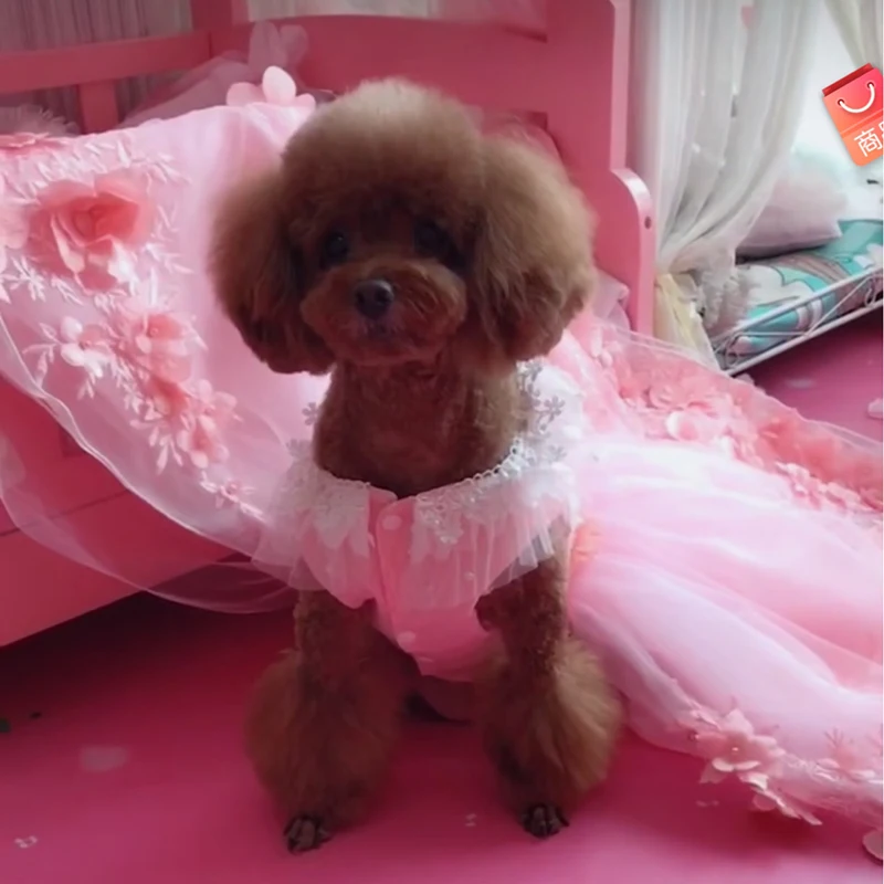 Pet платье в стиле принцессы для собаки Роскошные длинное свадебное платье для маленьких собак, ручная работа, Кружевная аппликация в форме цветка для щенков, одежда юбка с рисунком пуделя для женщин