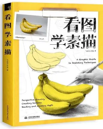 

A Graphic Guide to Sketching Techniques Chinese Art Painting Drawing Book