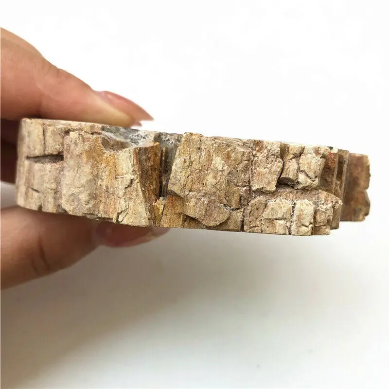 1 шт., натуральные камни и минералы, кристалл, каменный камень, Fossil Tree для Coaster, домашний деревянный декор, дерево, Fossil, Мадагаскар