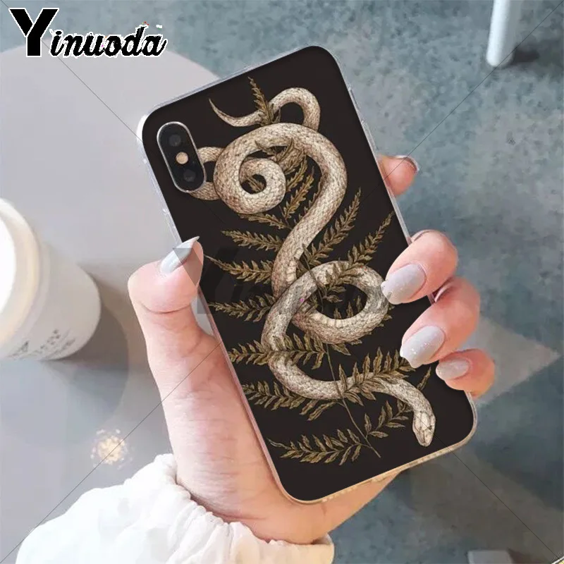 Animal The Snake and Fern