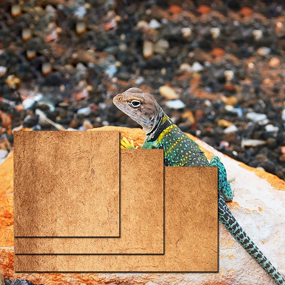 Тропический лес рептилия ПЭТ змея лягушка ящерица коробка дно Коко ковры черепаха птица изоляции коврики multi параметры